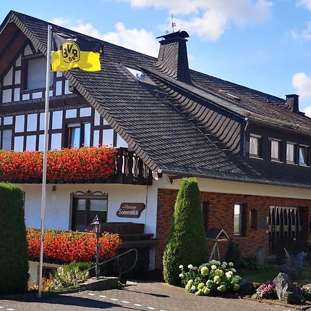 Pension Sonnenblick Winterberg Esterno foto